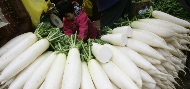 白萝卜好不好，看这“4点”就知道，汁水足不糠心，一挑一个准