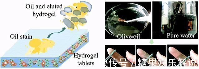 自愈|双网络水凝胶!超强自愈、保水、抗菌、粘附,专为透皮贴剂设计