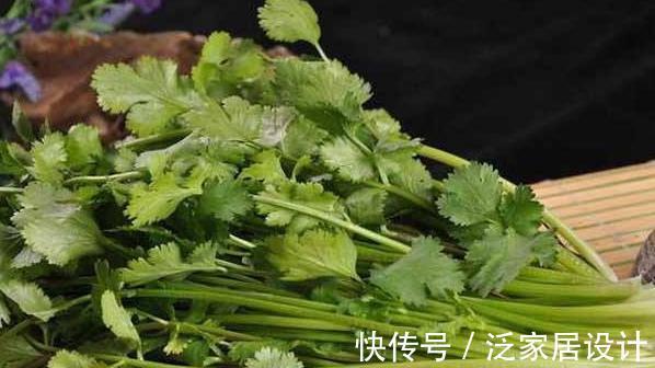 香菜|香菜煮水太厉害了，不出半月，几大好处不请自来，给身体洗个澡