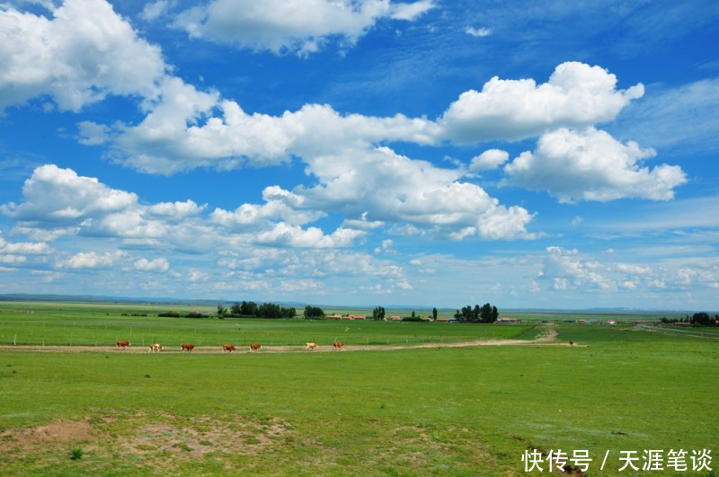 走进|走进草原，门可罗雀达达线，国道收费很败兴