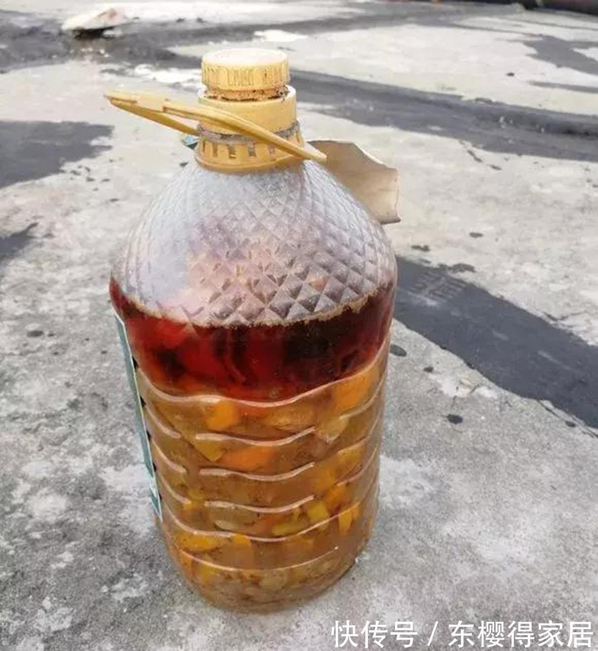 养花肥|怎么制作低成本高效养花肥?准备黄豆、鱼肠,这么干就成了