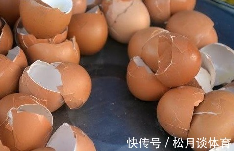 张大爷养蟹爪兰只要一个鸡蛋,一个小技巧,枝头冒出无数花苞