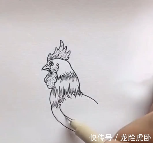 美术生画&美术生画公鸡，不起型直接画，成品很有料，网友：橡皮擦放假了