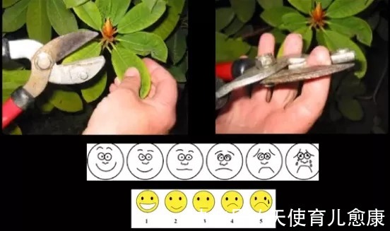 孩子|敏感还是迟钝?自闭症儿童的“感觉异常”到底是怎么回事?