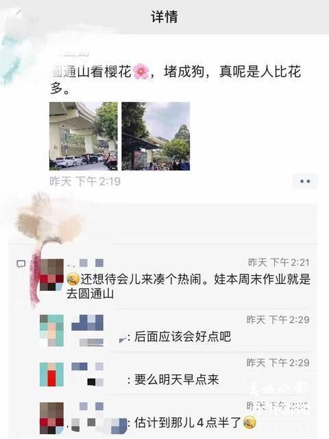 2万人扎堆赏花！昆明圆通山周边昨天堵爆！今天呢？继续堵……