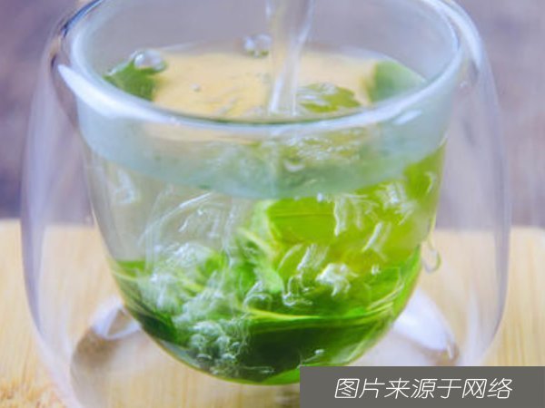 喝桑叶水好处多多,还被称为”神仙草“,经常喝会收获4个好处