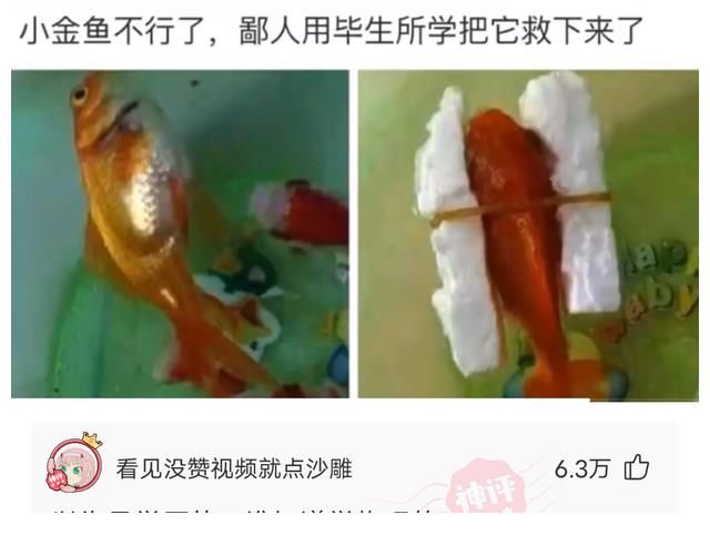 电影|神回复：如果把吴亦凡案件拍成电影, 哪个导演来拍最合适 电影叫什么名字好