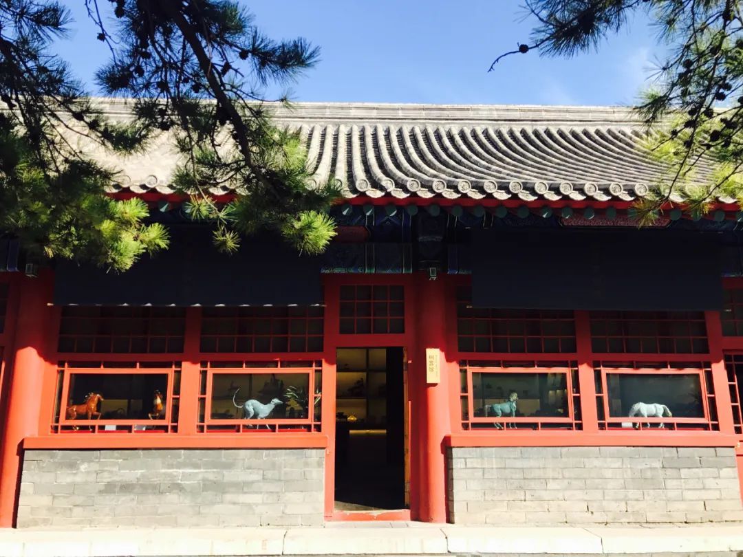 g20峰会&【“浙”边达人秀】匠心传承铜技艺，他要将中国传统文化发扬光大