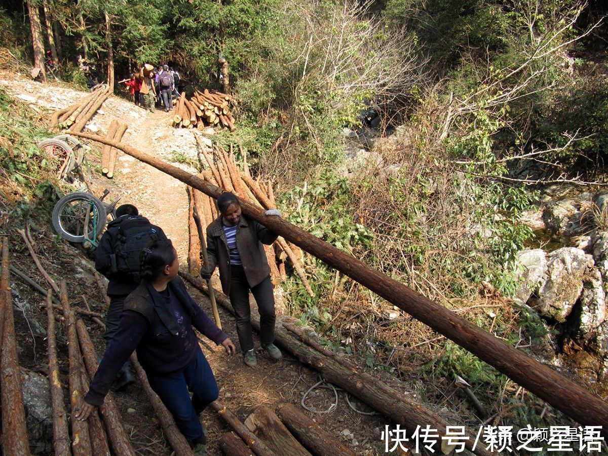 森林长城|浙江也有一座香山，山上有驴友驿站，还有森林长城