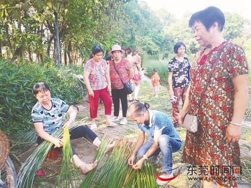 老人们|致富思源！厚街100多名小学生凤山公园体验收割莞草