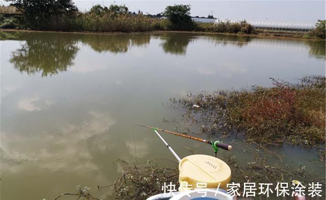 晚秋钓鲫鱼,选择这样的天气和钓位,我从来没走空过,每次都爆护