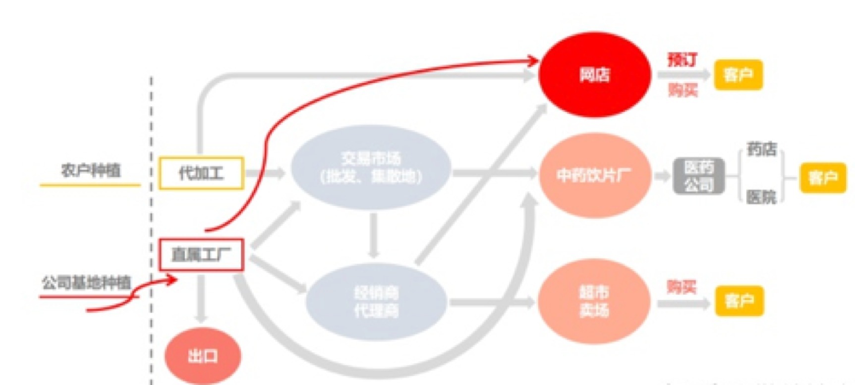 枸杞,你真的買對(duì)了嗎!用對(duì)了嗎?