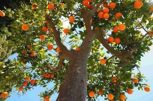 温热性|高血压患者请记住，千万别吃这些食物，吃多了血压蹭蹭往上涨