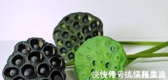 教条示龙场诸生@王阳明的十句处世真言,学会一个,就能成就辉煌的人生