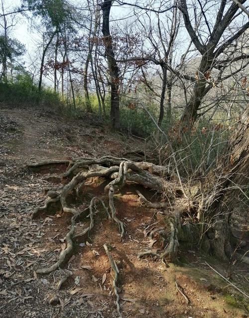 马仁奇峰背面不远处竟还有这么一座神秘未开发的山