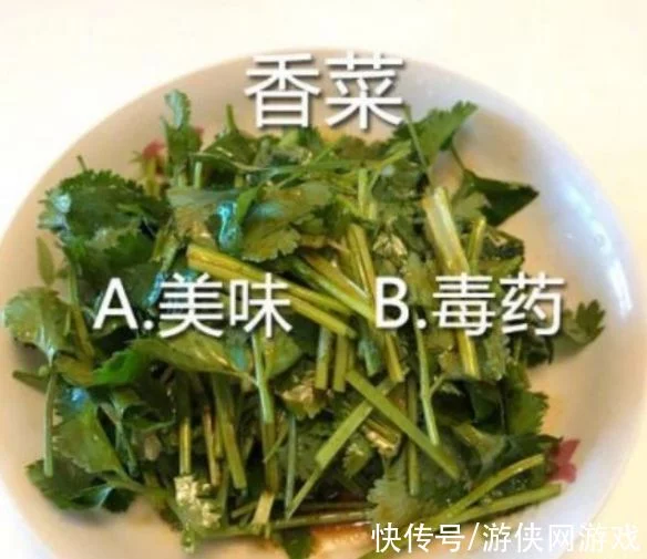 2月24日是世界讨厌香菜日 今天世界讨厌香菜日 不爱吃香菜居然是基因决定的插图2