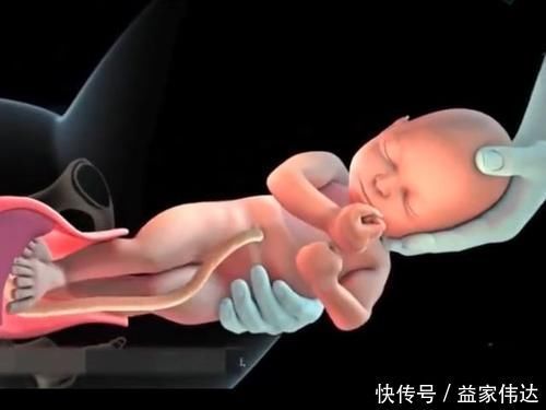 屏气|顺产的全过程到底是怎样的，生而为人需了解，请勿泪奔