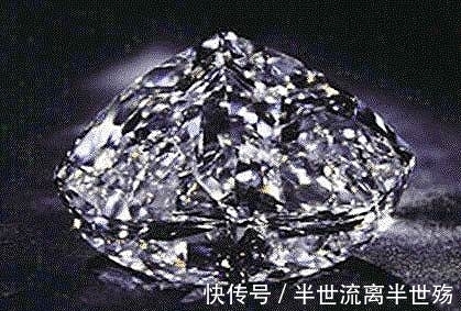 植物 非洲最神奇的植物,除了钻石其他地方都不长,找到它就能找到钻石