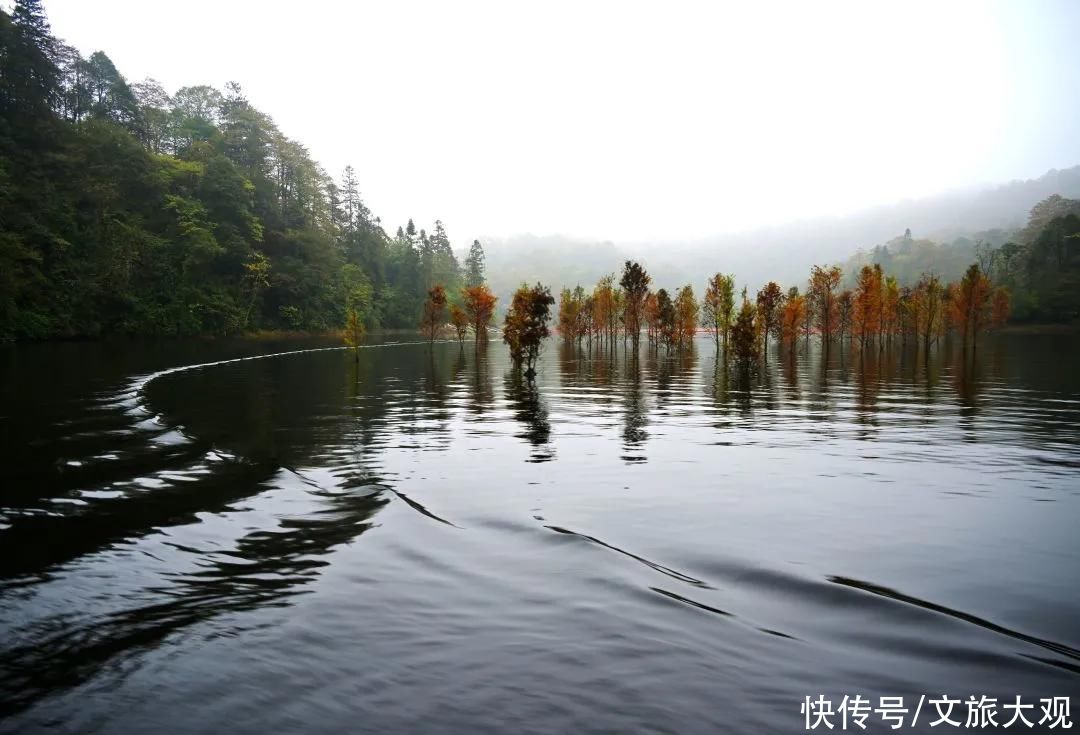 一帘|铜锣坝：烟雨里的一帘幽梦