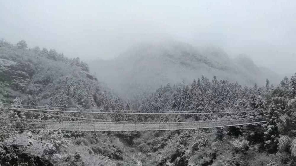 雪景|丽水这些地方下雪了，美炸了~最新雪景美图，请签收