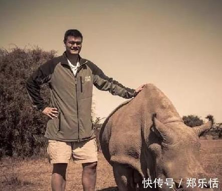 cb发胖后的姚明体型太夸张了!韩德君在身边似高中生 奥尼尔显娇小