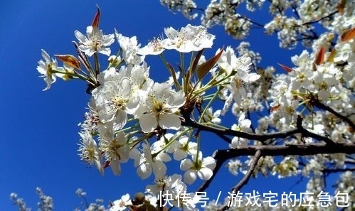 董贤@唐代二流诗人的两首绝句,构思巧妙,蕴含深远,更令人深思