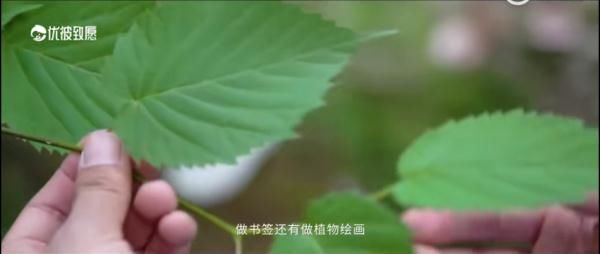 专业&关于汉语言文学专业 那些你不知道的事