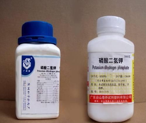  好使|君子兰夹箭？用这“3招”，个个好使，当月就开花