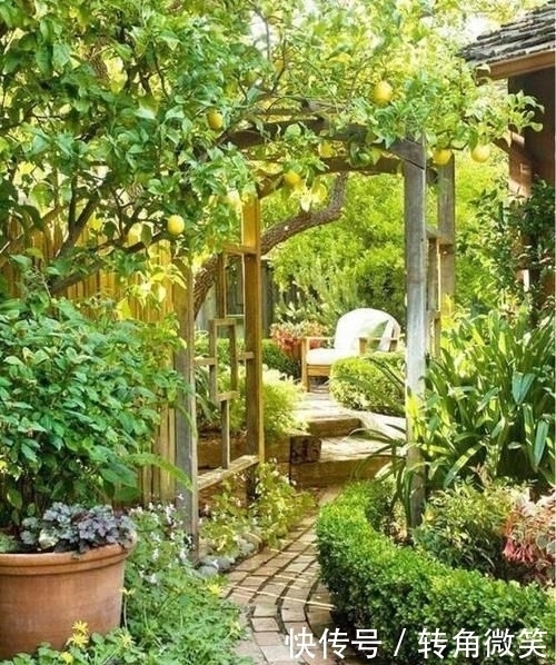 想有个带院子的房子,看花开叶落一辈子,让生活变成一件浪漫的事