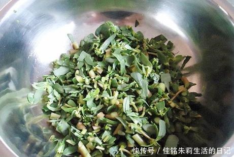  野菜|不花一分钱的当季野菜，晒干了储存能放一年，早餐主食都能吃