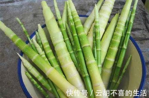 紫甘蓝|人到中年,不妨多吃四种食物,健胃消食,增强食欲,爱吃就赚到