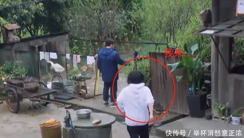 刘晓邑 下期《向往5》迎来最猛女嘉宾,进鸡窝徒手抓鸡,张艺兴都傻眼了