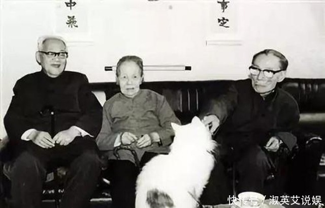 张幼仪评林徽因:思想更复杂,长相更漂亮,双脚完全自由的女士