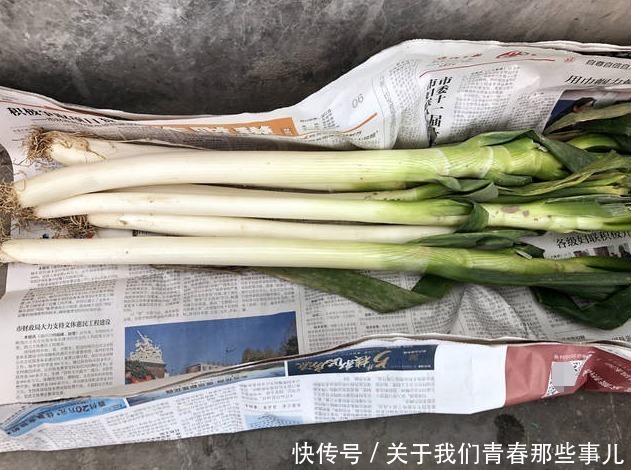 保存|保存大葱,记住2个原则,学会2个方法,3个月不坏,不干瘪不空心
