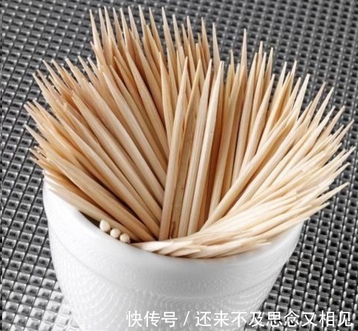 现在把蟹爪兰嫁接到仙人掌上,不用管,秋天也能开成瀑布!