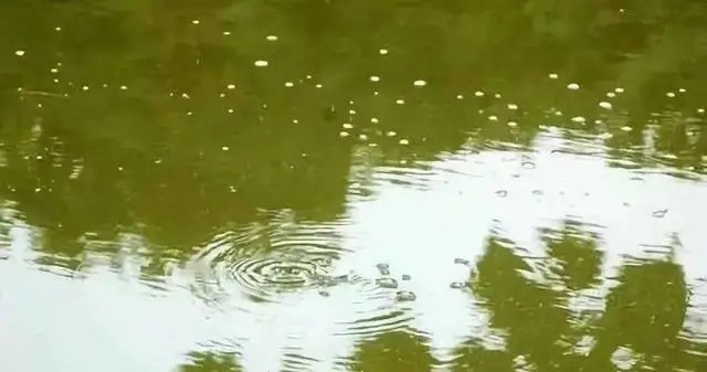 好不容易钓一次鱼,如何减少空竿率?