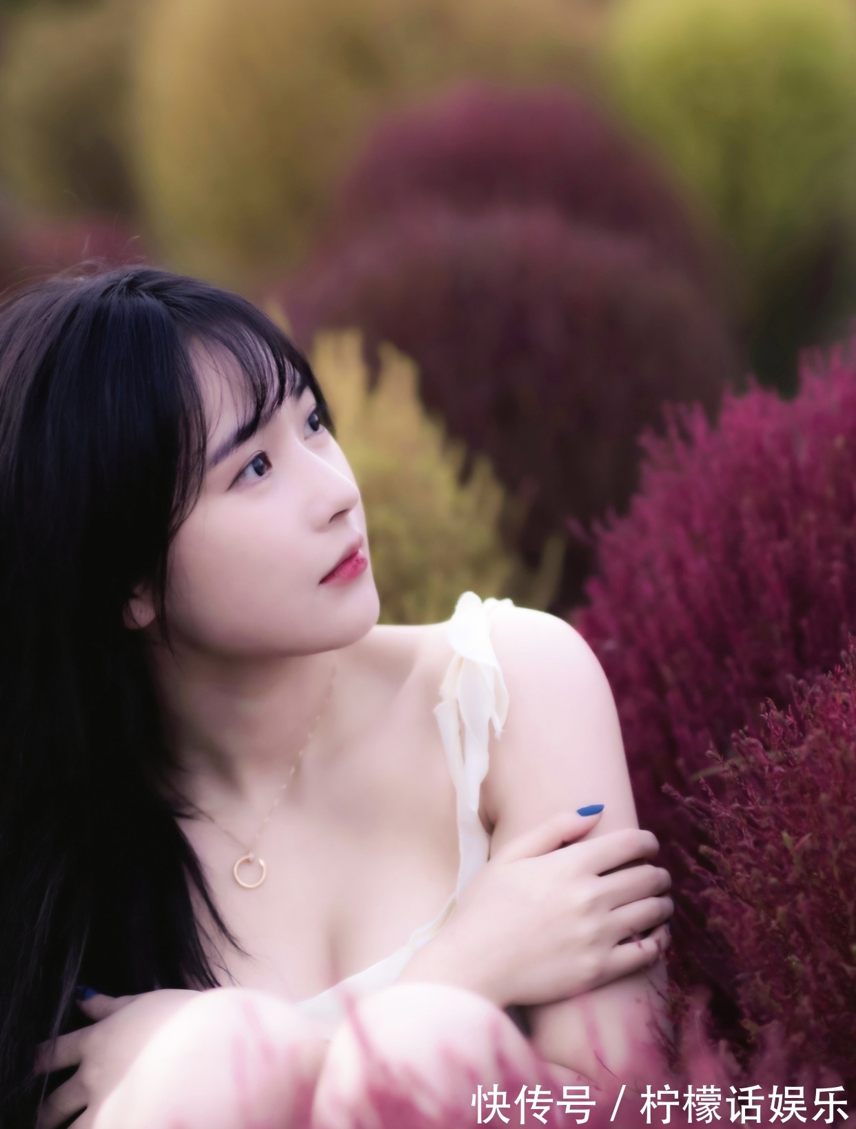 诗心$诗·十二首丨人近丛林惊鹊鸟,菊斟满盏煮诗心