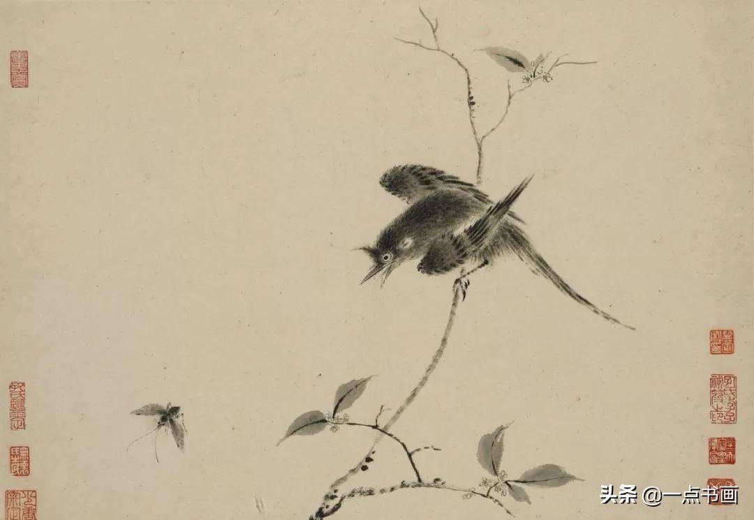 草虫&华岩的花鸟画,独辟蹊径,令人耳目一新