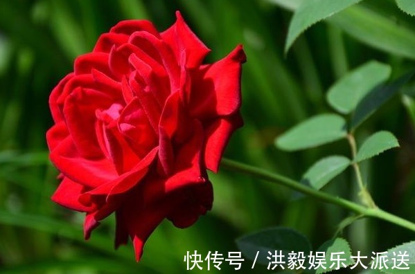 财福#俗话说心宽一寸,受益三分,只有拥有4种心态,才能财福双旺!