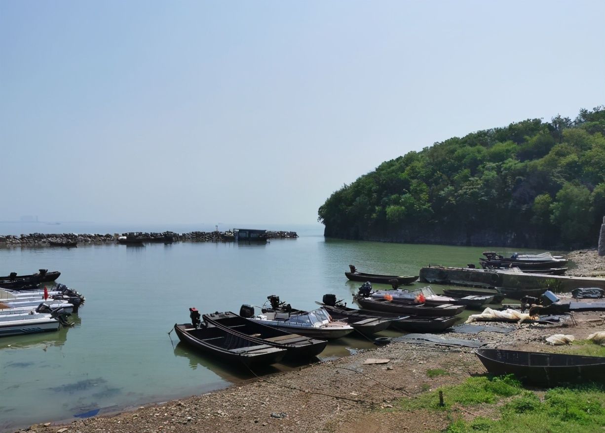 中年|合肥有个难得的湖上绿洲，登塔凭栏远眺，能见水天一色