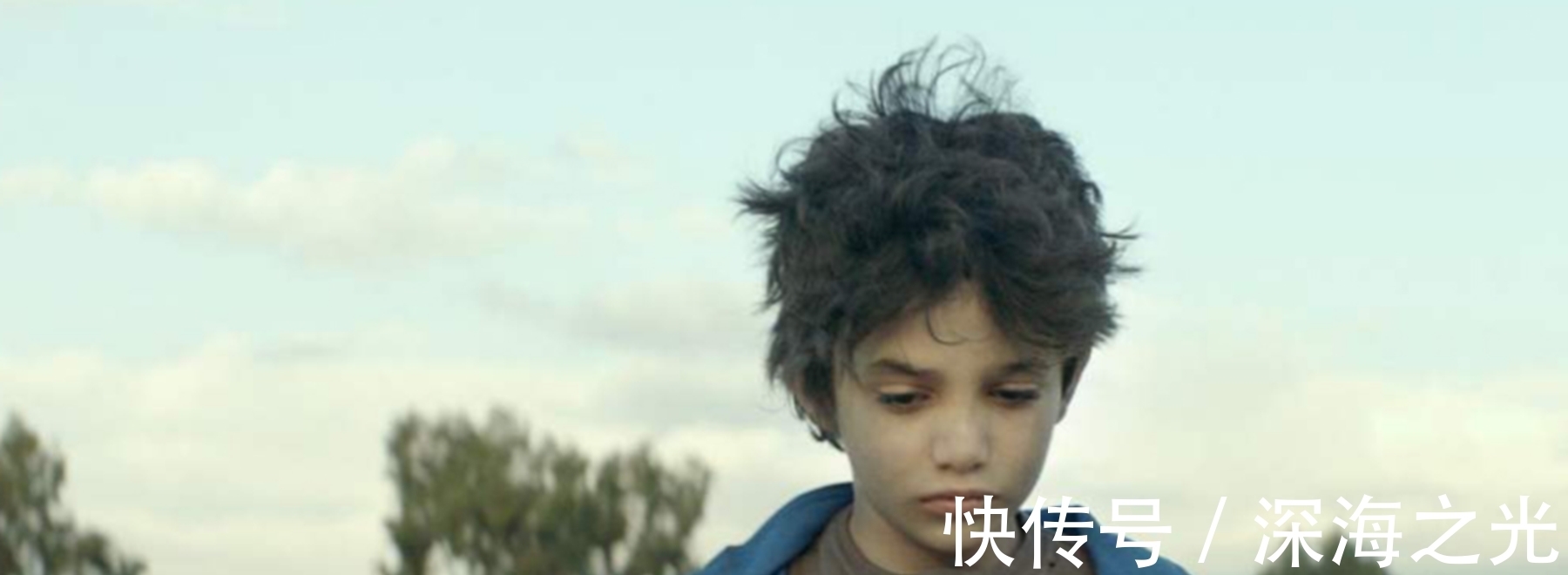 《何以为家》是哪个国家的？《何以为家》的导演是谁？