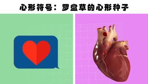 8种日常物品的形状背后隐藏的奥秘