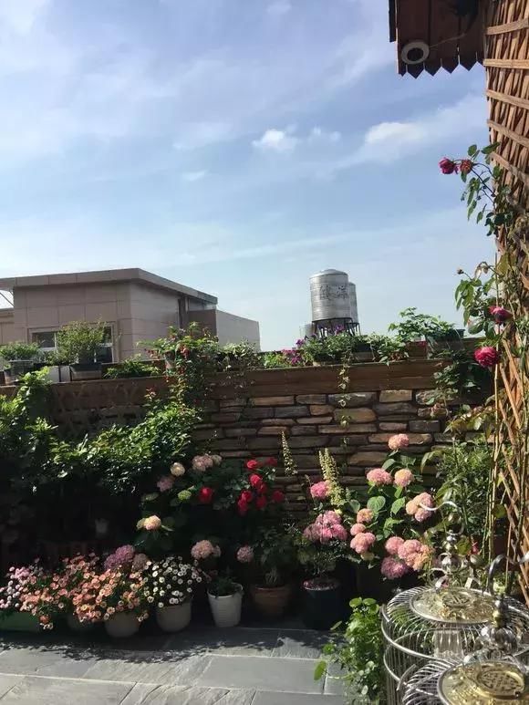 顶楼|顶楼和一楼哪个更值得买入住半年才发现错得离谱,不应该这么选