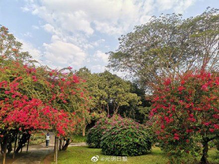 老年|葫芦岛蝶变科学岛之谜