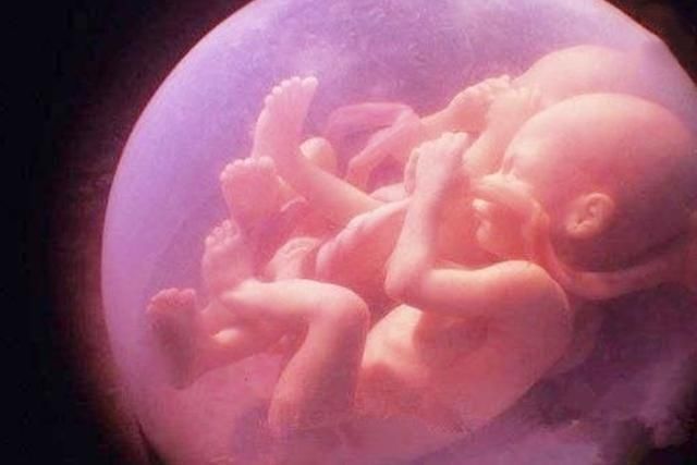 宝爸|产妇产下6胞胎,宝爸欢天喜地,得知胎儿的性别后,更是无法淡定