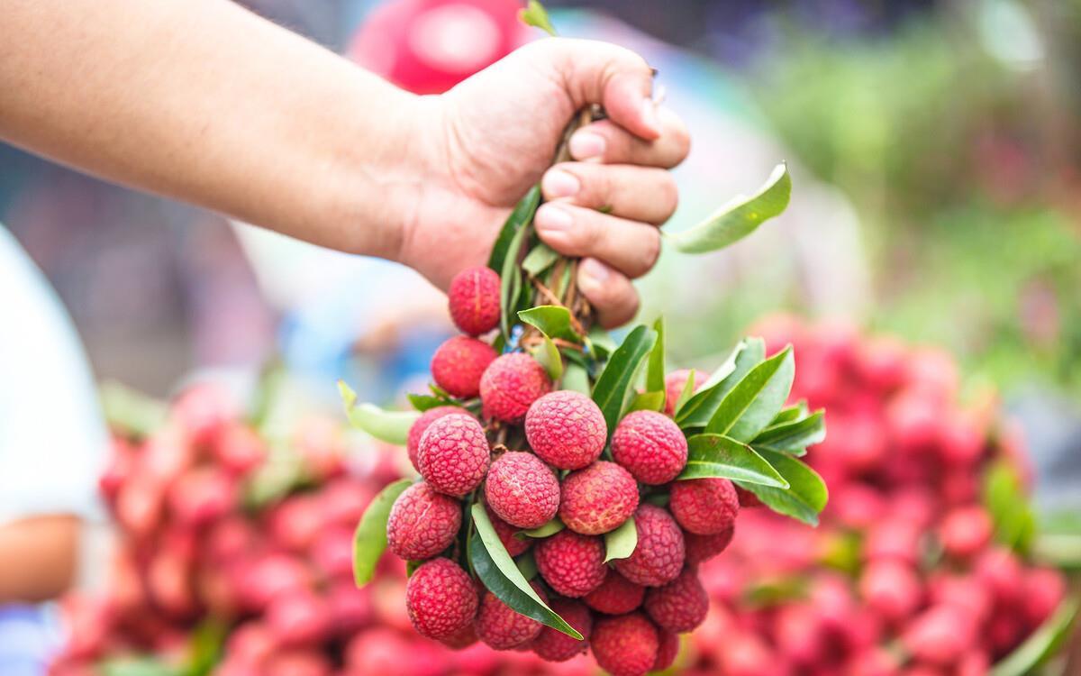 红皮|买荔枝时,选绿皮的还是红皮的?记住3个小妙招,荔枝更好吃