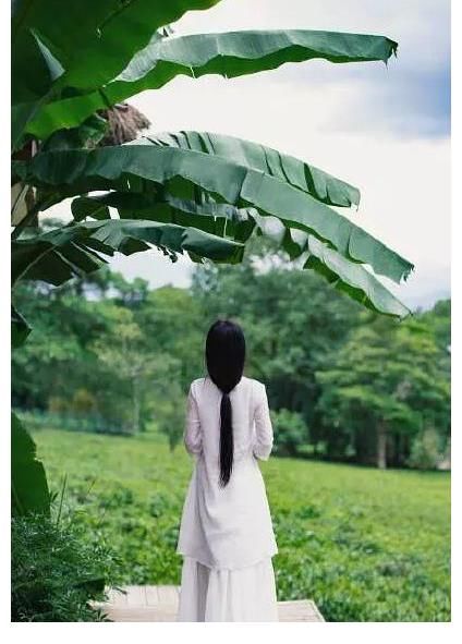 李子柒終于被點醒，欲翻身當主人，卻遭字節(jié)跳動退出