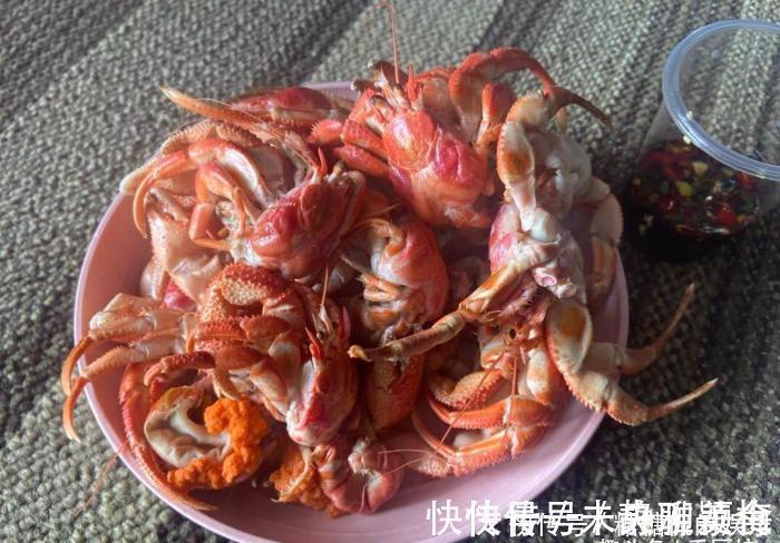 海兔|误认为是“大海螺”,花250块钱买6斤,回家上锅一蒸,太惊喜了