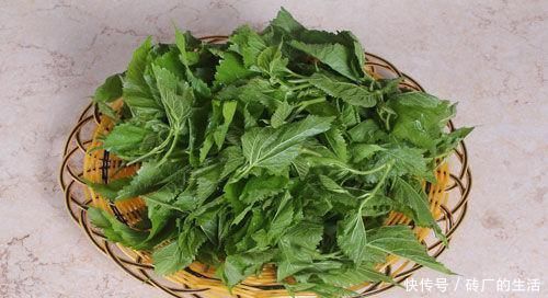 含有|女性抗衰先會(huì)吃，常吃3種食物，淡化色斑，延緩衰老，美白肌膚