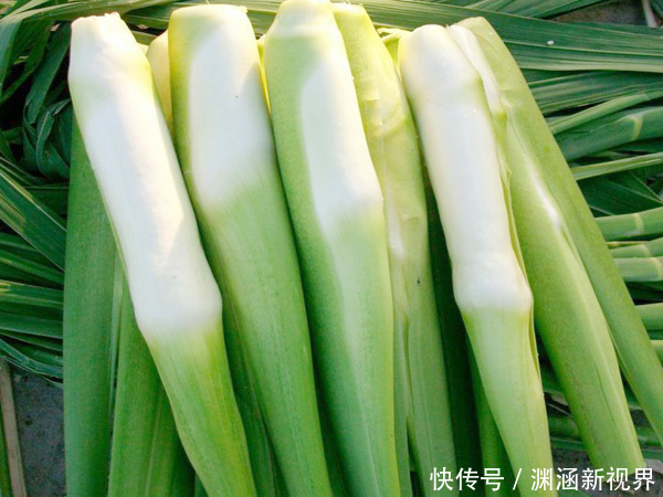 茭白|早上称体重和晚上称体重,哪一种是真实体重多数人并不清楚